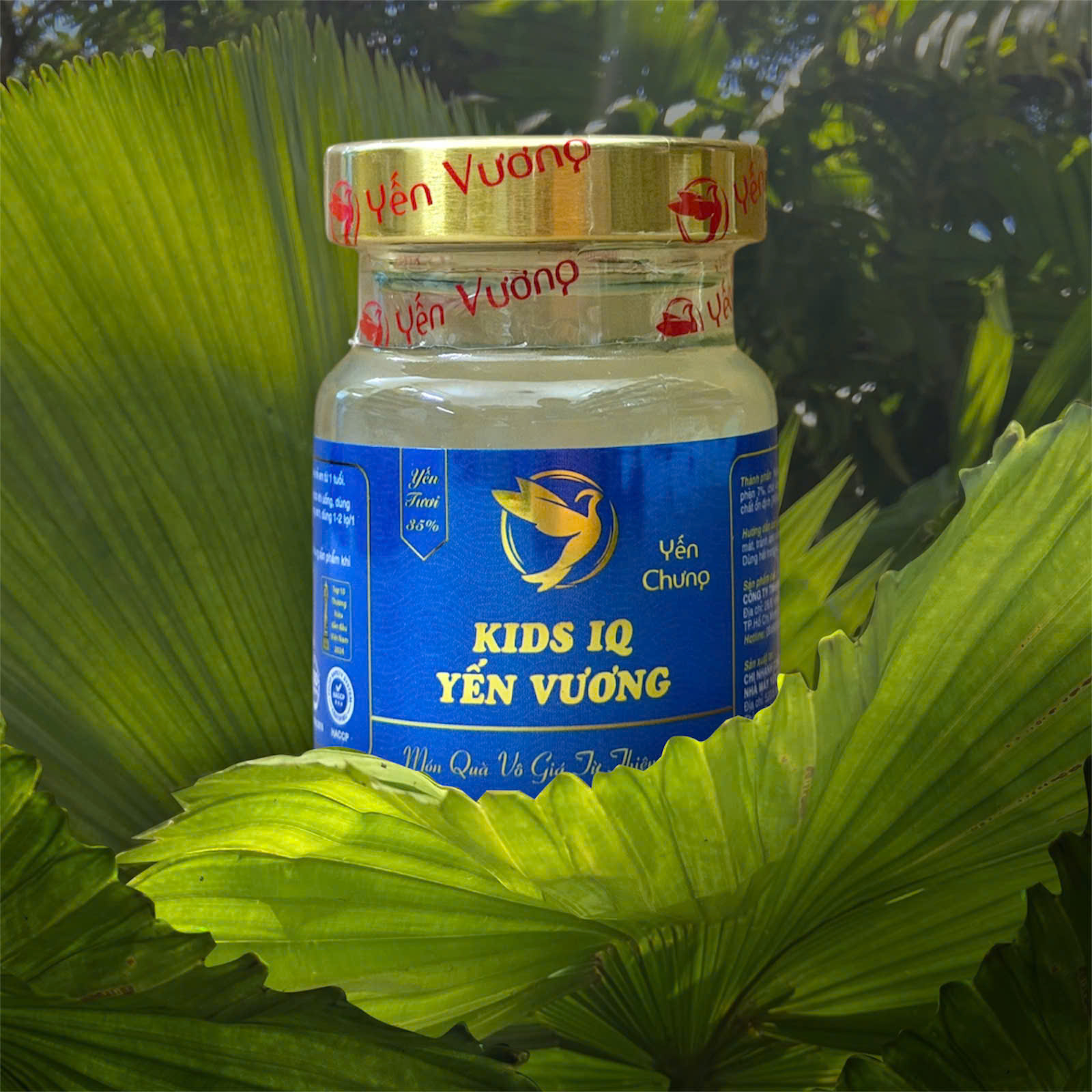 Hũ yến Vương 70ml Kids IQ